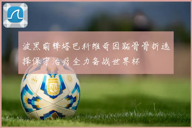 波黑前锋塔巴科维奇因跖骨骨折选择保守治疗全力备战世界杯